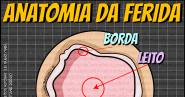 Anatomia Da Ferida Enfermagem Ilustrada Anatomia Da Ferida Enfermagem Ilustrada